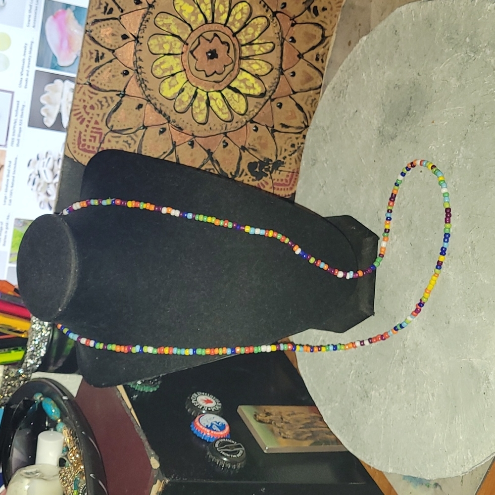 Multicolored Strand of Seed Beads - Long